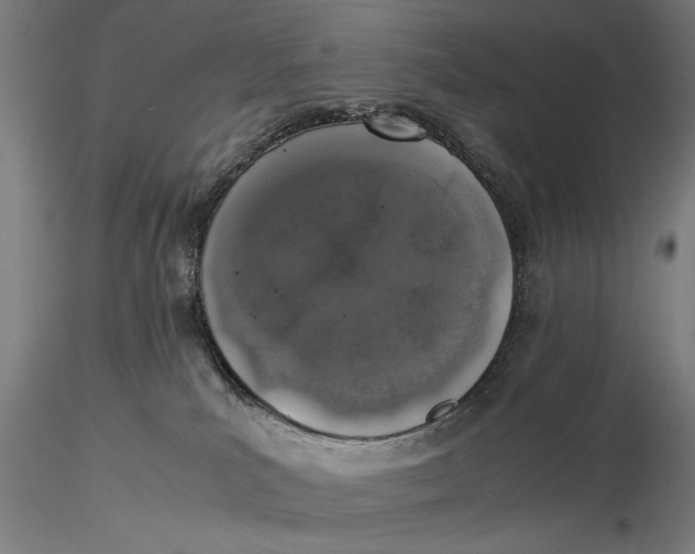 X0000116050039200912111514