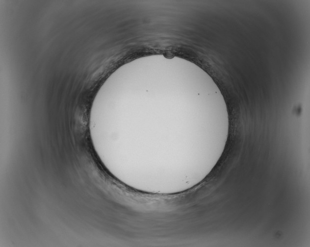 X0000116050040200912111514