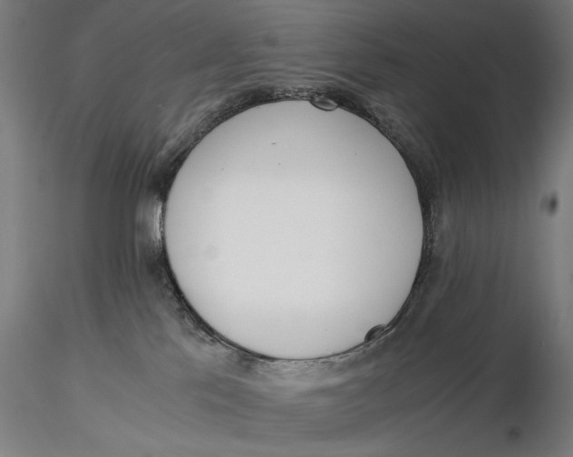 X0000116050041200912111514