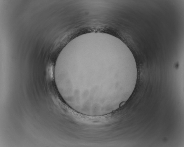 X0000116050042200912111514