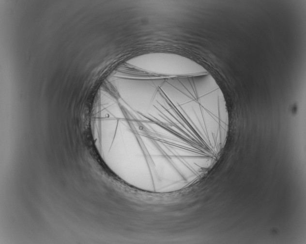 X0000116050043200912111514