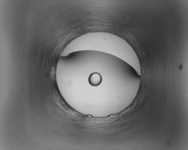 X0000116050045200912111514