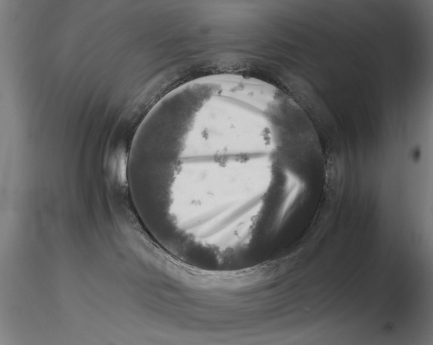 X0000116050046200912111514