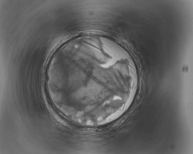 X0000116050049200912111514