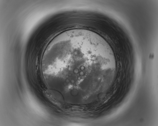 X0000116050050200912111514