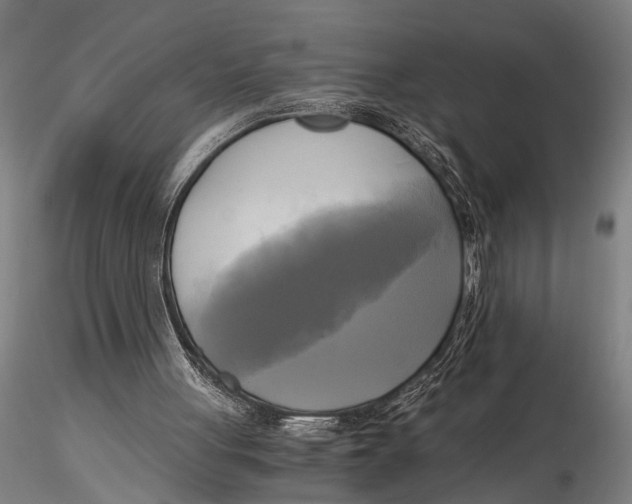 X0000116050051200912111514