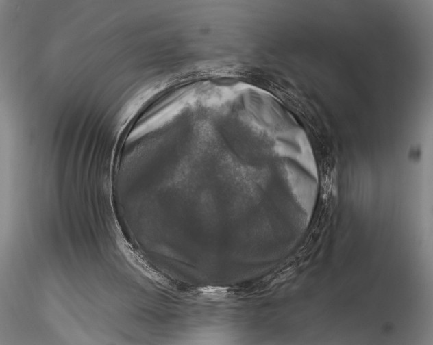 X0000116050052200912111514