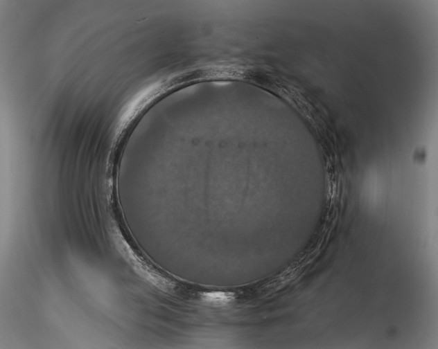 X0000116050053200912111514