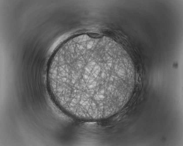 X0000116050054200912111514