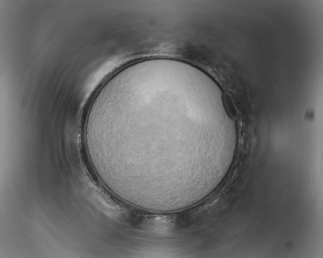 X0000116050056200912111514