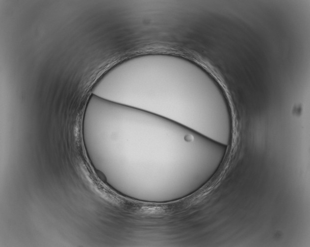 X0000116050057200912111514