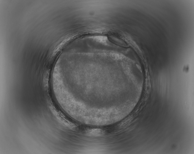 X0000116050058200912111514