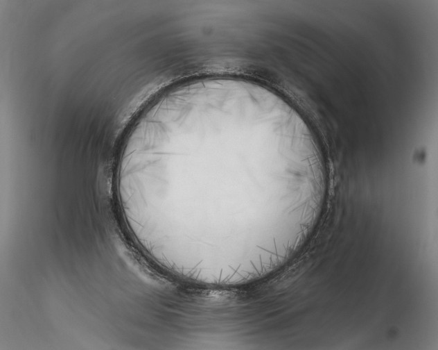 X0000116050060200912111514