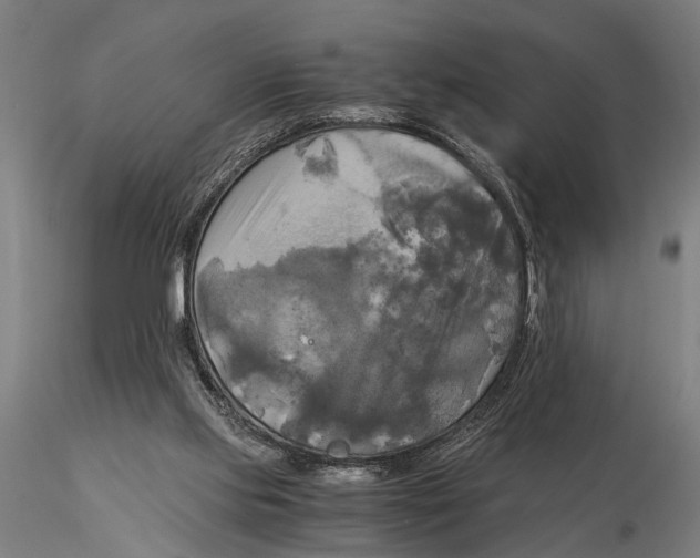 X0000116050061200912111514