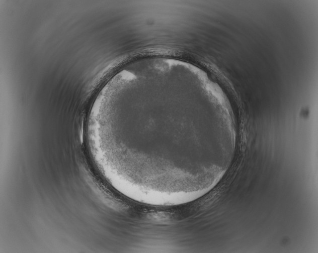 X0000116050062200912111514