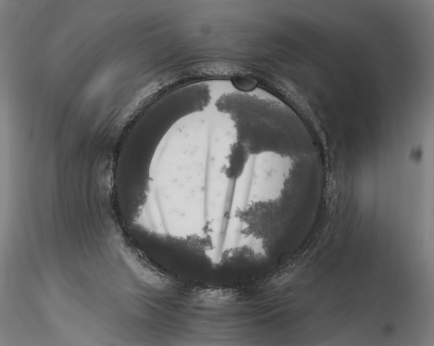 X0000116050063200912111514