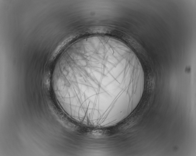 X0000116050064200912111514