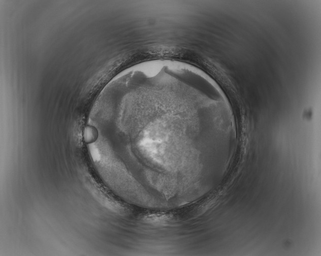 X0000116050065200912111514