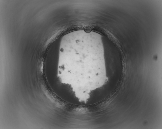 X0000116050067200912111514