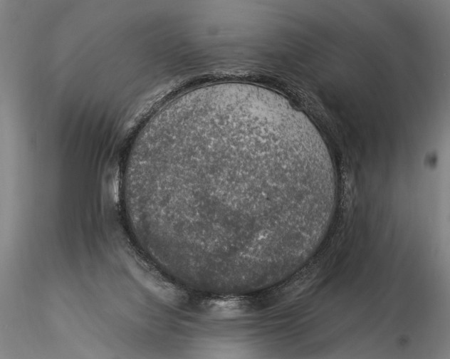 X0000116050068200912111514