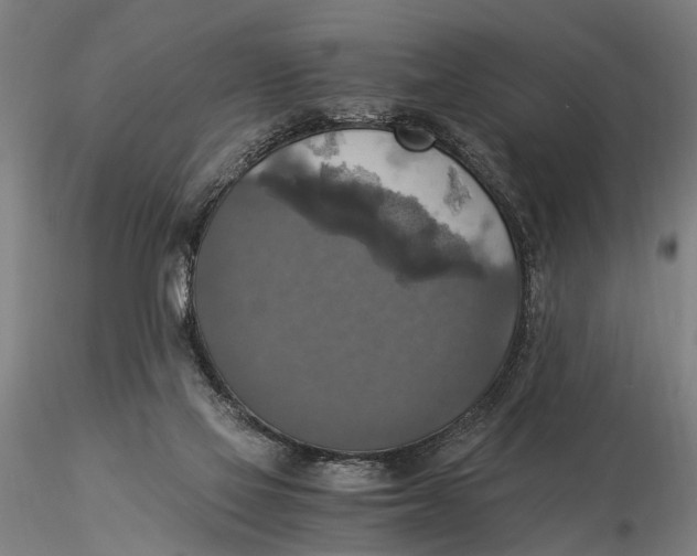 X0000116050069200912111514