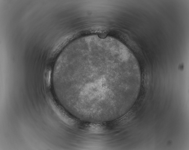 X0000116050070200912111514