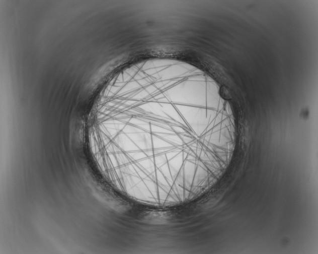 X0000116050071200912111514