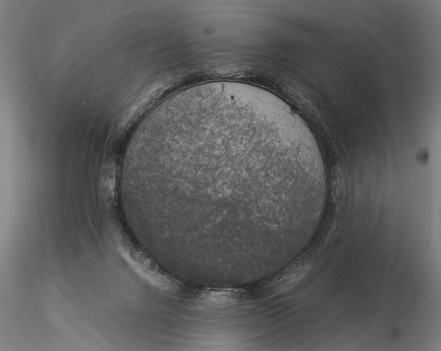 X0000116050072200912111514