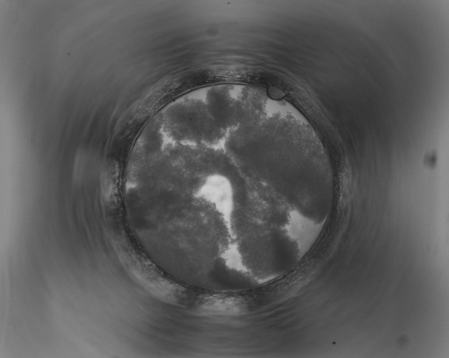 X0000116050073200912111514