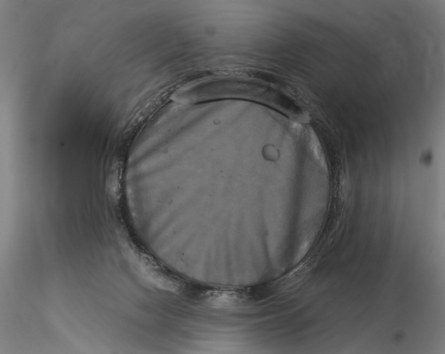 X0000116050074200912111514