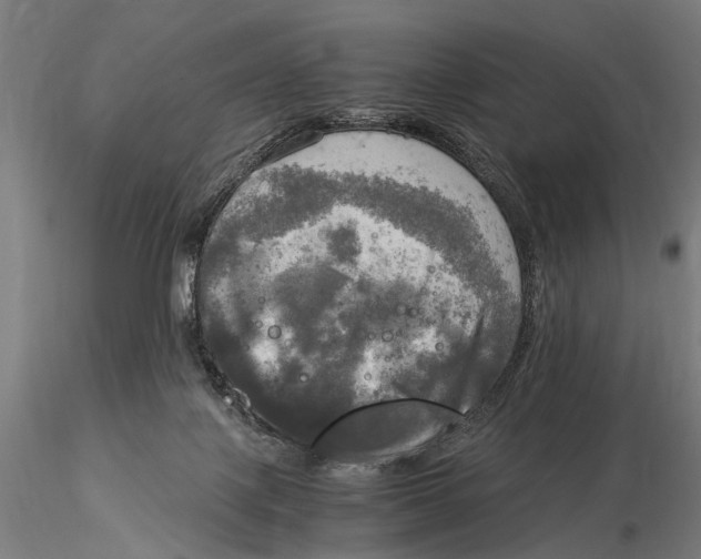 X0000116050075200912111514