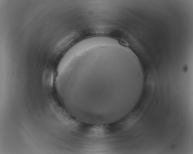 X0000116050076200912111514