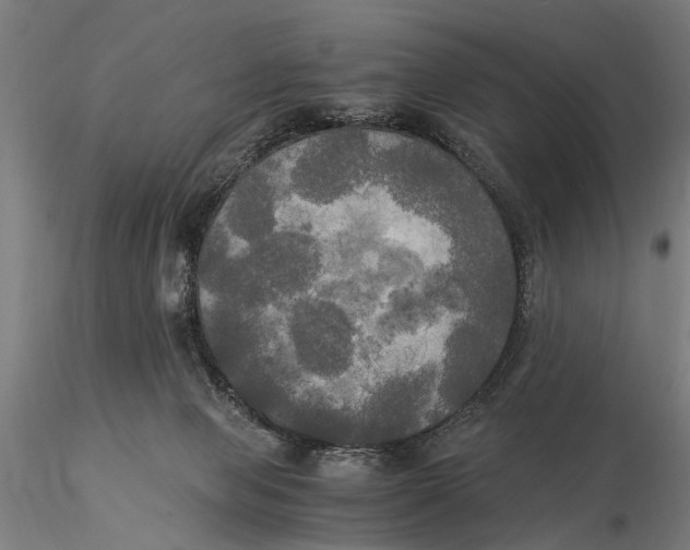 X0000116050077200912111514