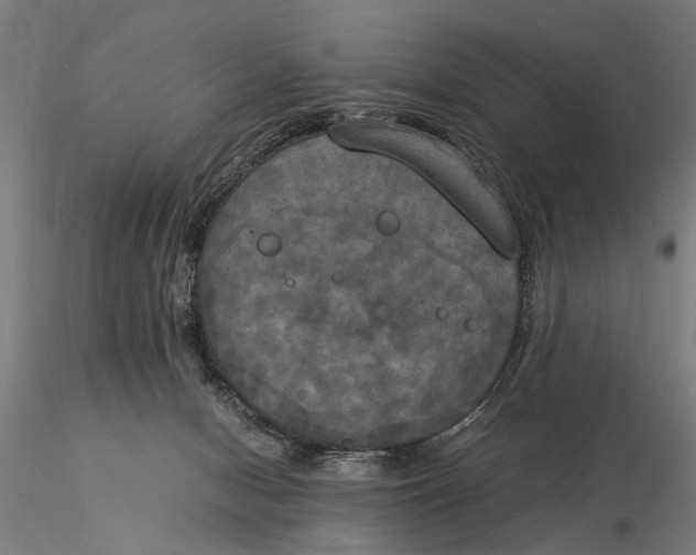 X0000116050078200912111514