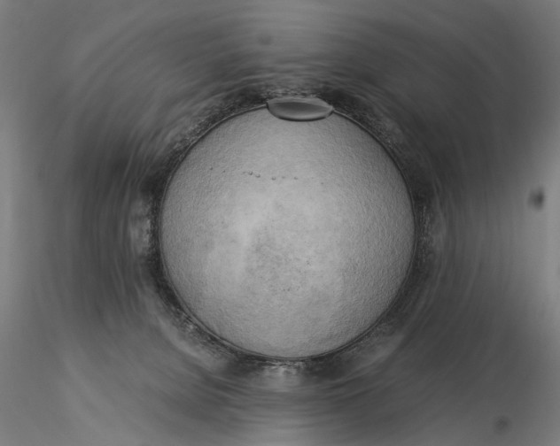 X0000116050080200912111514