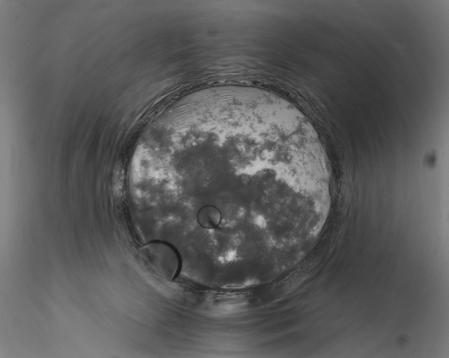 X0000116050081200912111514