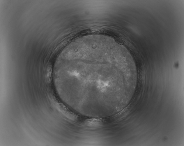 X0000116050082200912111514