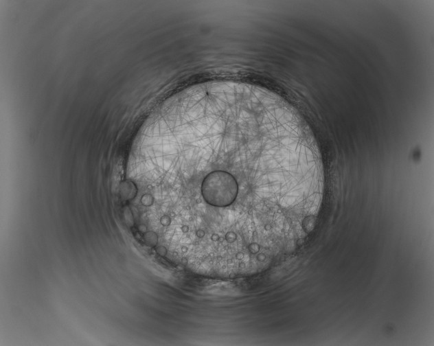 X0000116050083200912111514