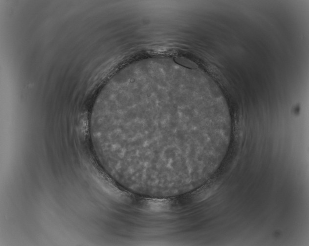 X0000116050085200912111514