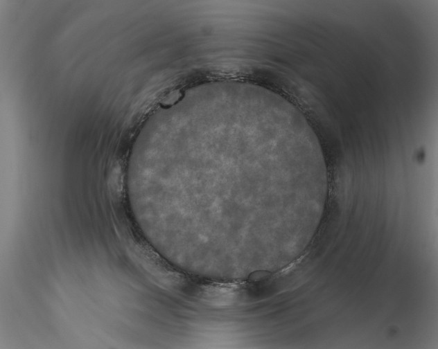 X0000116050086200912111514