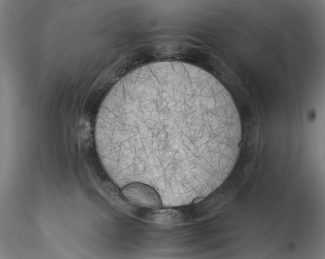 X0000116050087200912111514