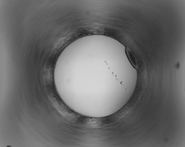 X0000116050088200912111514