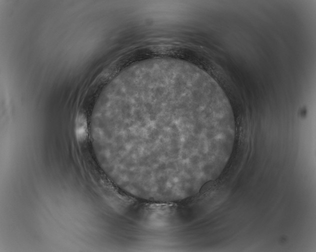 X0000116050089200912111514