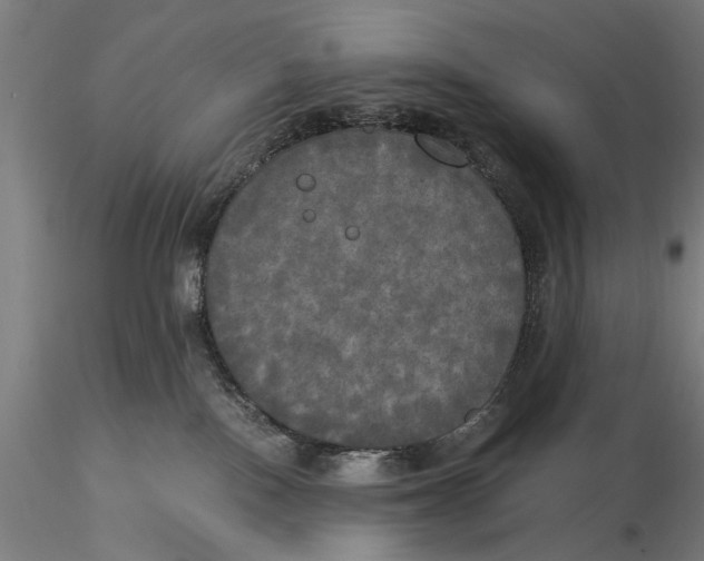 X0000116050090200912111514