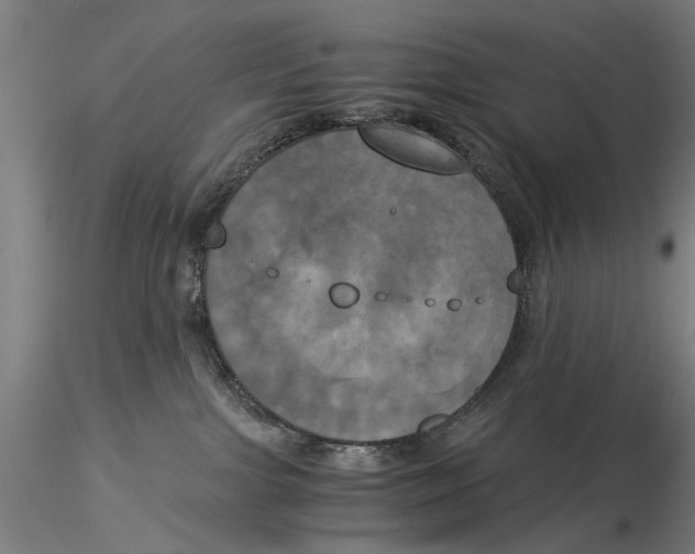 X0000116050091200912111514