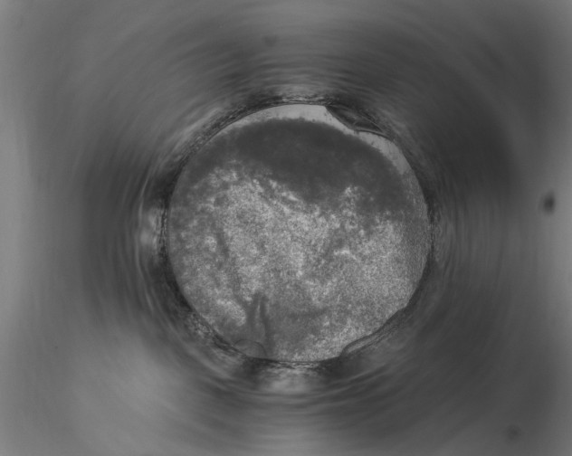 X0000116050093200912111514