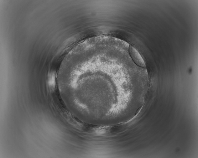 X0000116050094200912111514