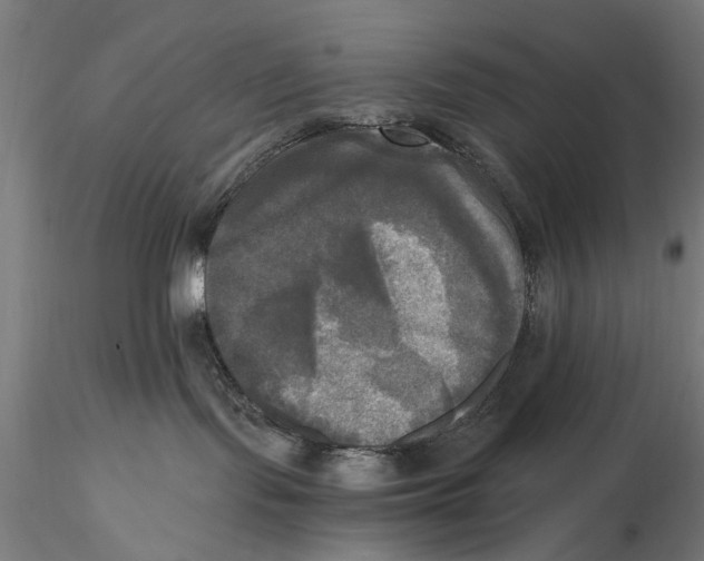 X0000116050095200912111514