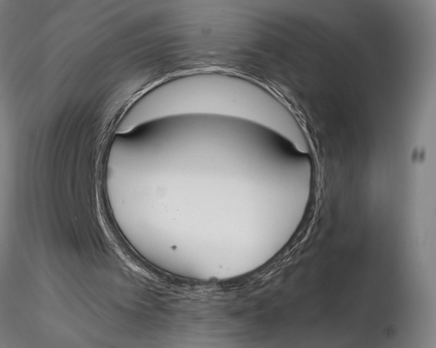 X0000116050097200912111514