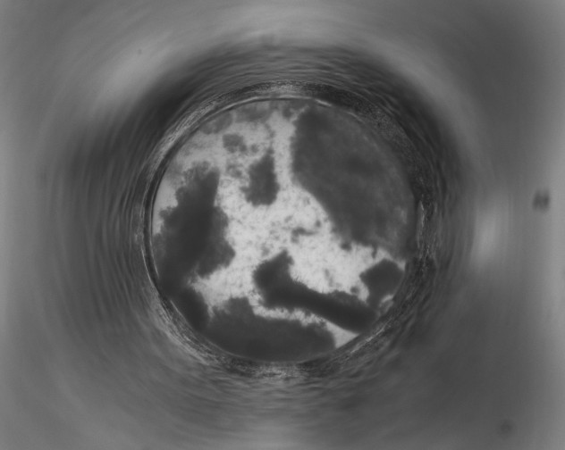 X0000116050099200912111514